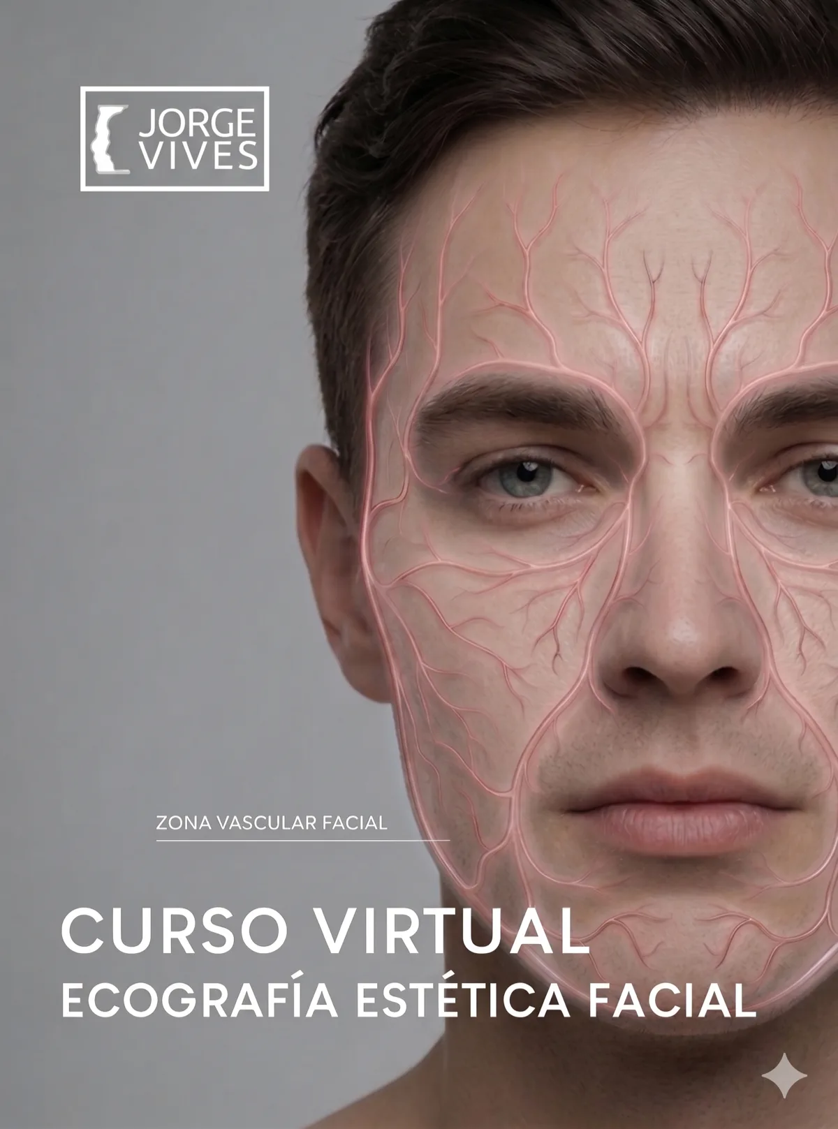 Anatomía vascular facial sobre rostro — Curso Virtual de Ecografía Estética Facial del Dr. Jorge Vives